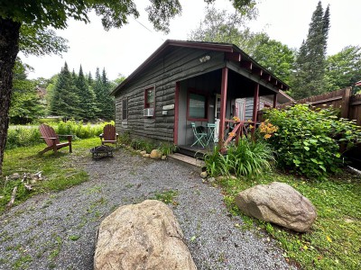 A LITTLE COTTAGE IN THE ADIRONDACKS 