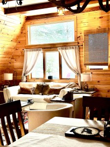 MOUNTAIN CABIN & TRAILS ON SITE