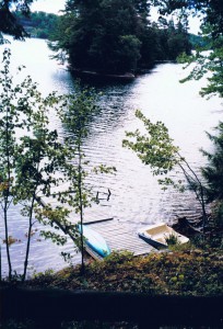CHARMING LAKESIDE ADIRONDACK COTTAGE