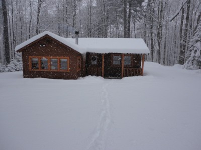 CABIN SURROUNDED BY WOODS