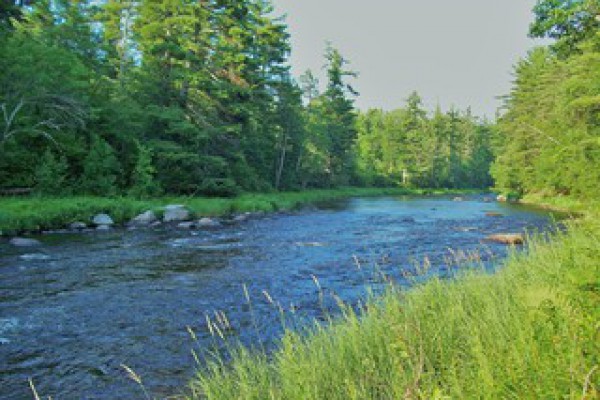 Downstream riverfront view
