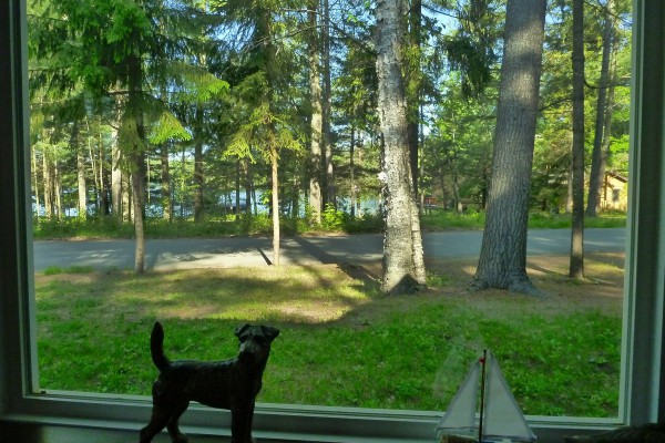 View of lake from living room window.