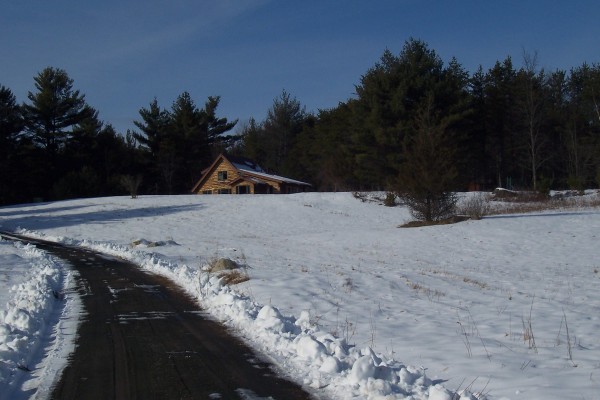 The view from our long driveway coming in... 