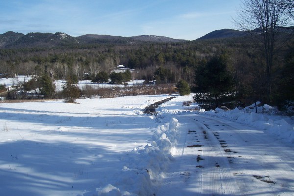 The view from our long driveway going out... 