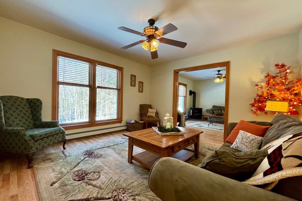 Living room (with a pull out sofa bed and pocket doors)