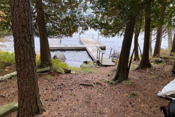 South dock - best for swimming
