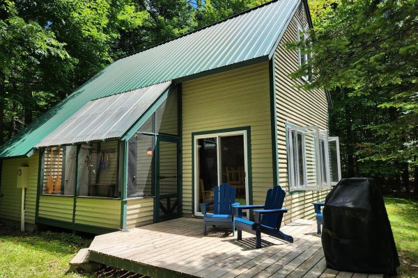 Perfect little cabin in the woods