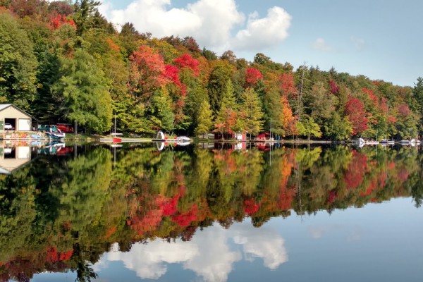 View the beautiful colors of the season from the cabin!