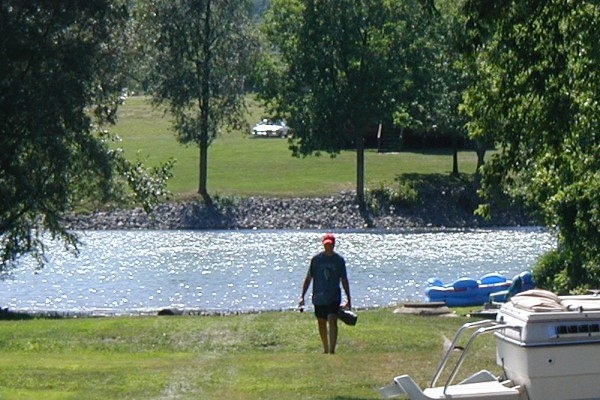 The Back Yard