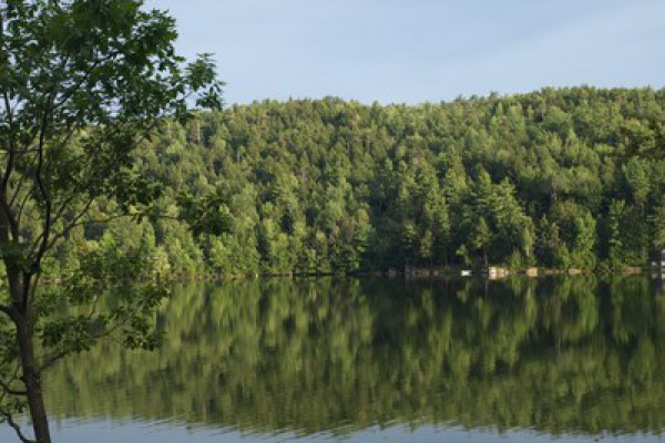 View from the deck