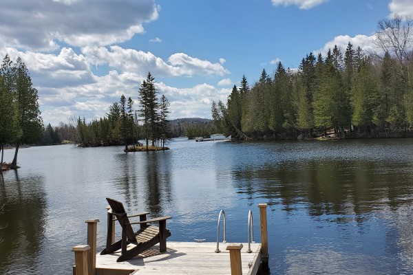 Dock and lakefront - 15 feet from the cabin