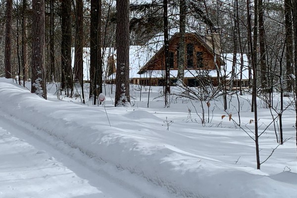 winter at the Cottage