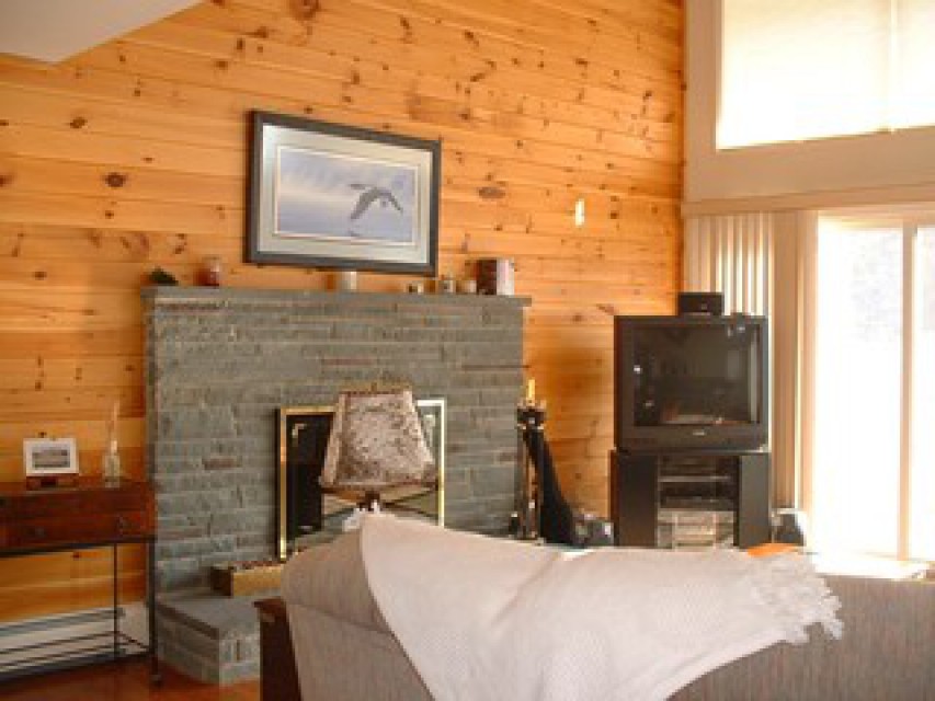 Family Room w/Fireplace and Large TV/Entertainment Ctr
