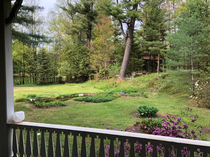 Peaceful, lovely back yard with small pond.