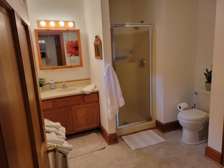 Main floor bathroom with shower.