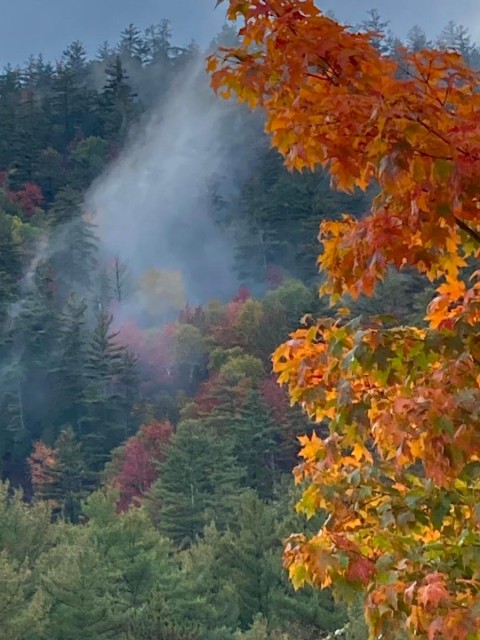 Lovely fall spring on a mountain