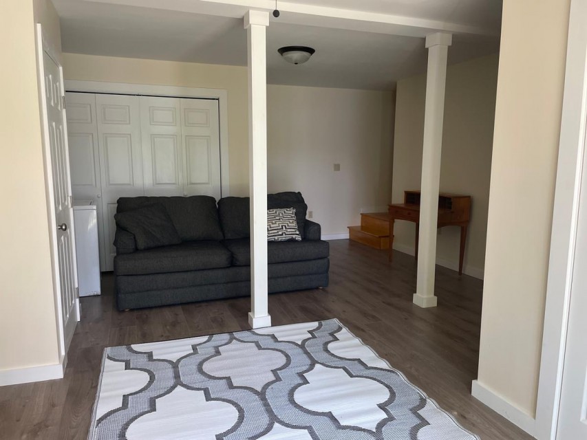 Lower level living room