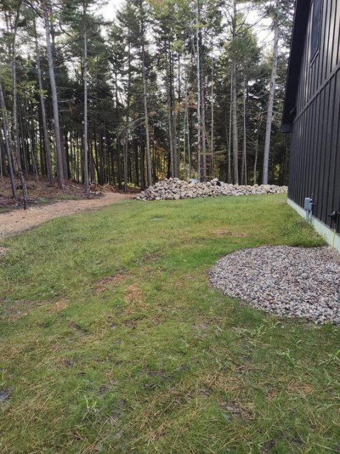 Back yard