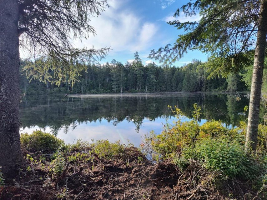 One of the 'Two Ponds'