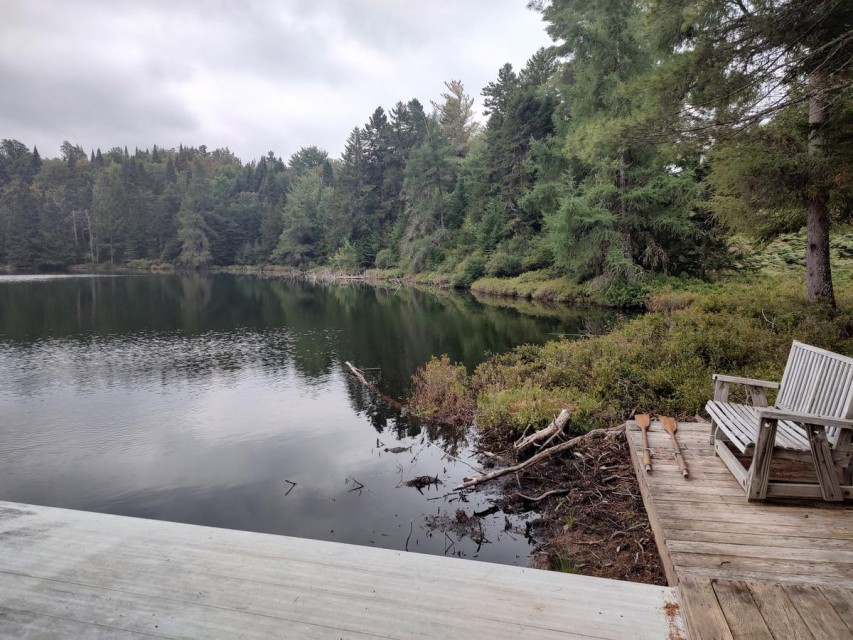 Relax by the pond
