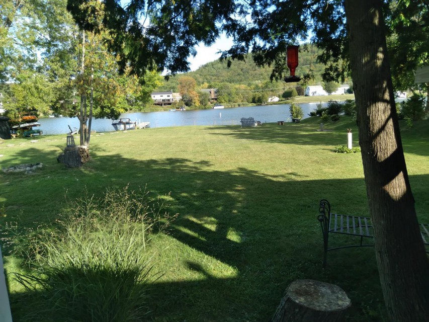 View from deck