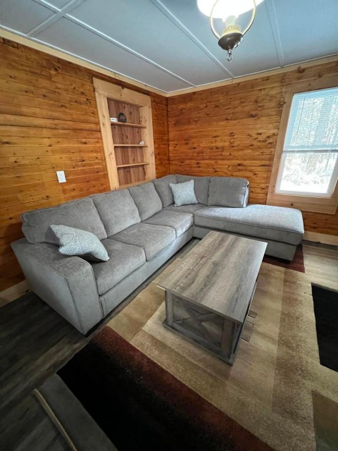 Downstairs family room - sofa sleeper