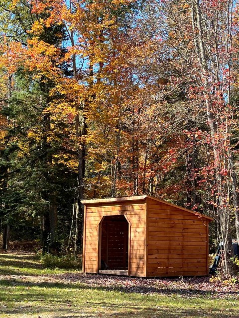 10x12 Woodshed