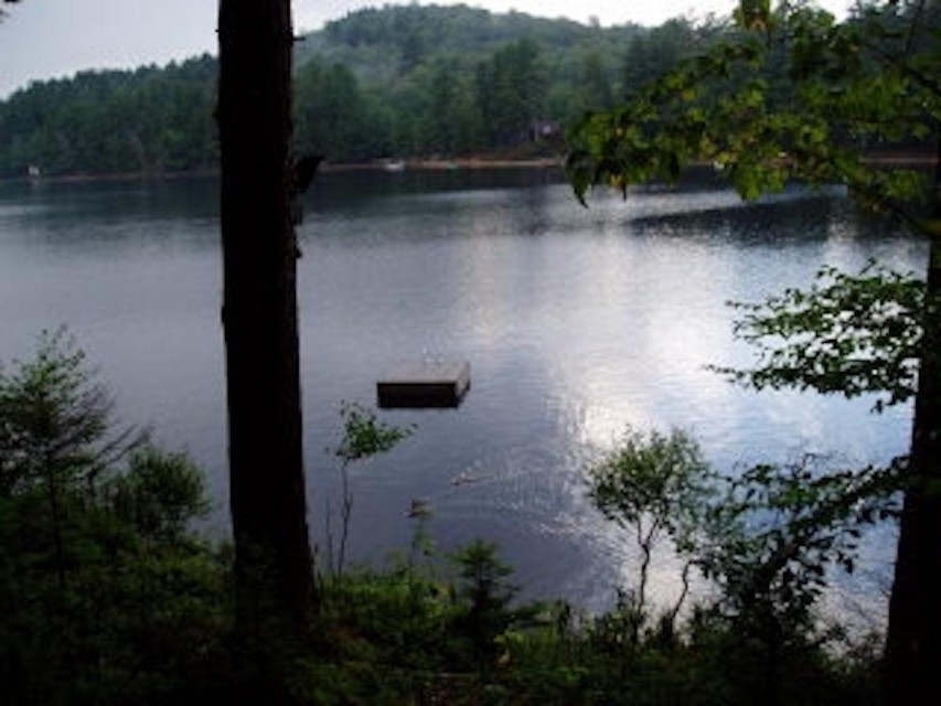 View of lake from leanto trail facing southwest