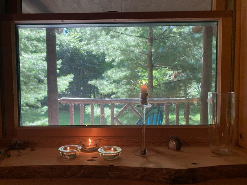 View to the porch into the forest from the living room