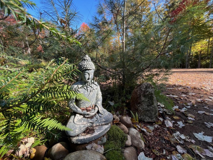 Zen Garden Buddha