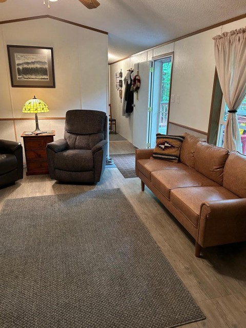 Living room, new sofa and rug included.