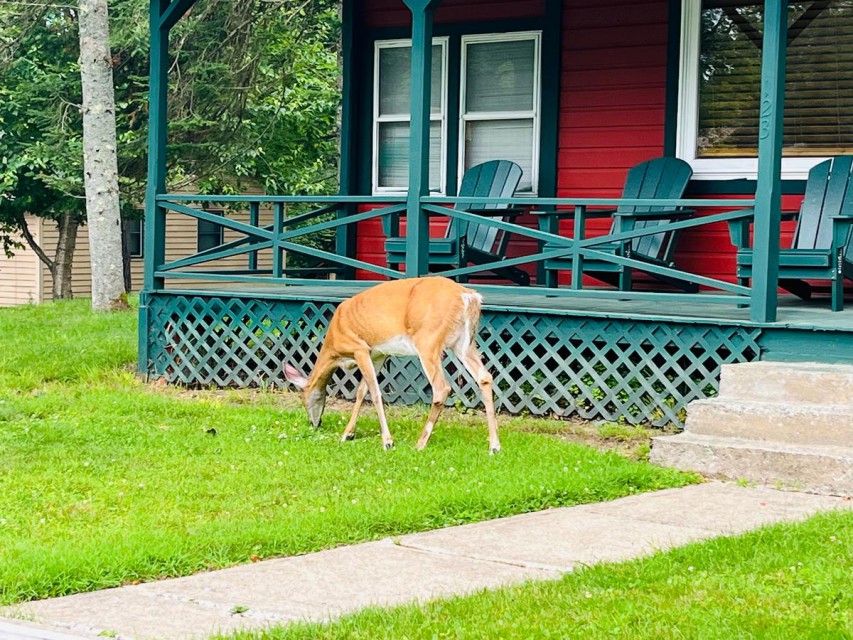 Front porch