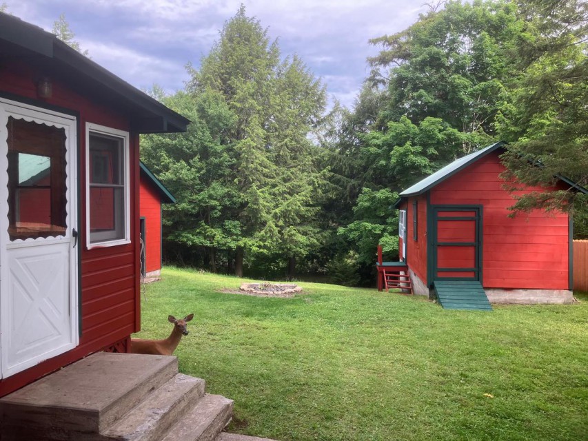Access to back porch