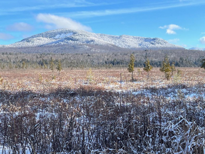 View From COMMUNITY Access Road