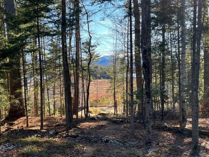 Seasonal View from front of Lot