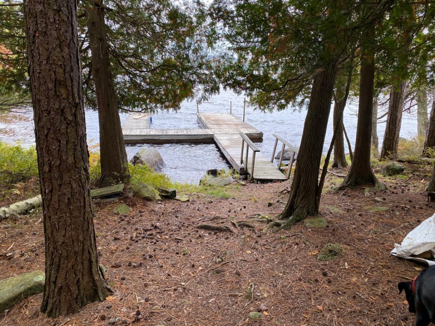 South dock - best for swimming