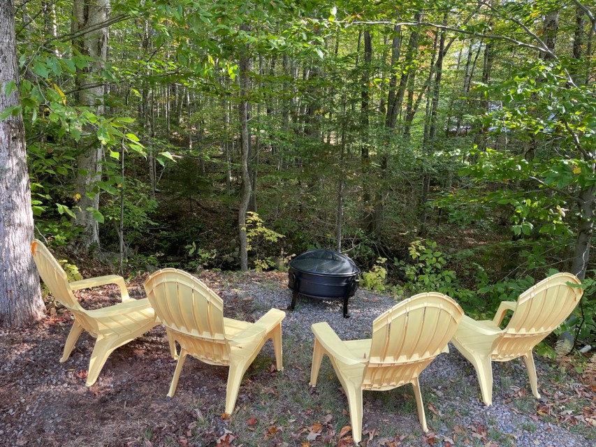 Fire pit area next to the babbling brook