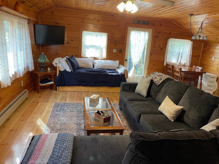 Living room with daybed & trundle in apartment