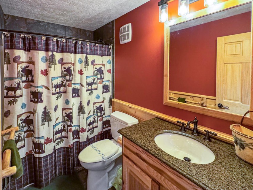 Lower Level Full Bathroom