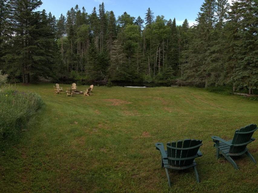 Large backyard