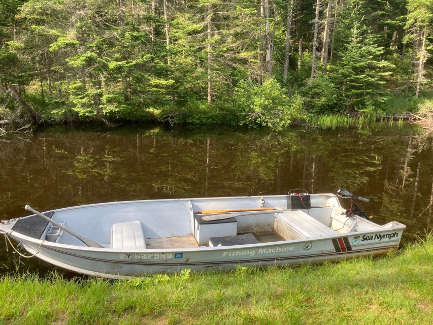 Fishing boat with trolling motor