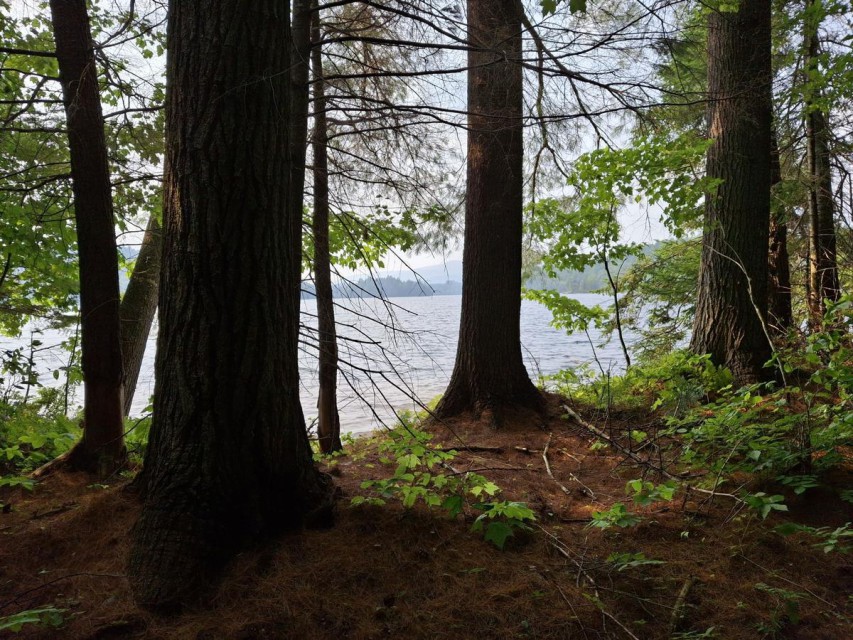 View of Little Clear Pond from hillside by lots