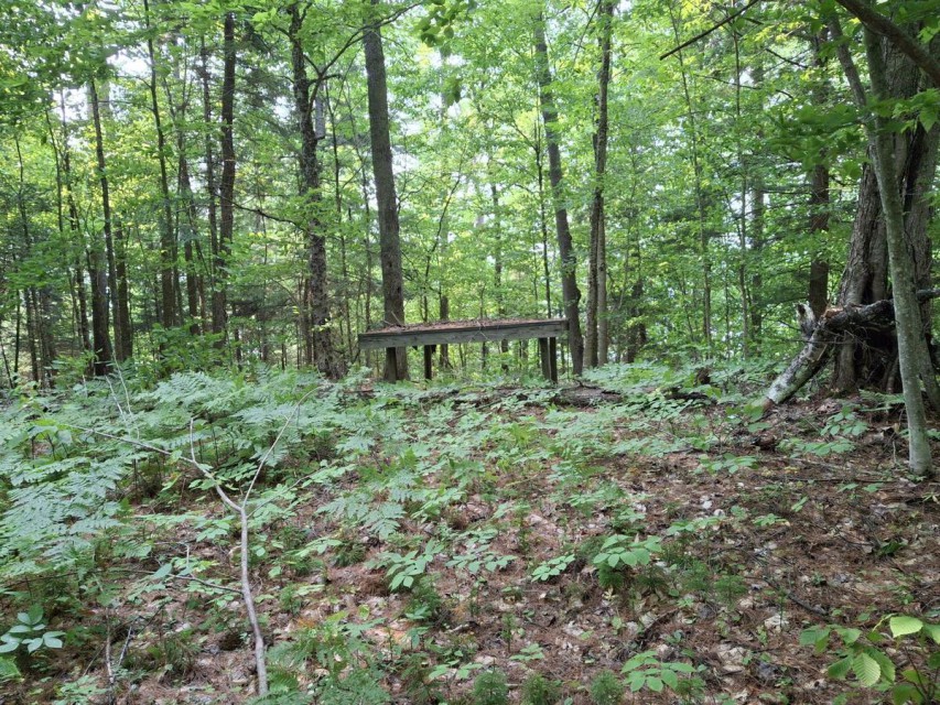 Old tent platform on lot looking out over Little Clear