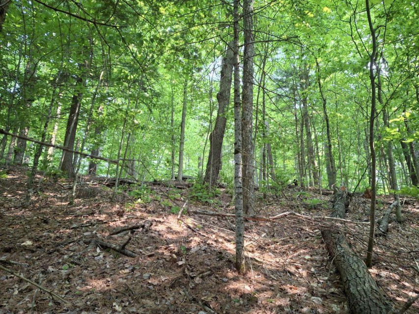 View of lots coming up hill