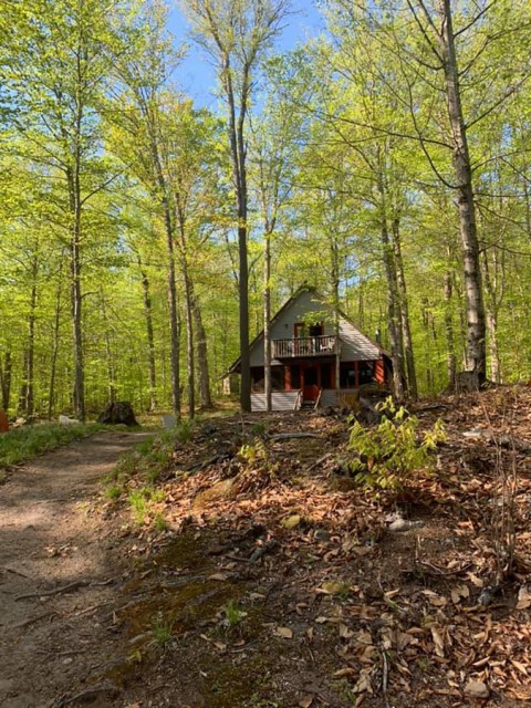 Perfect setting....private but not remote!