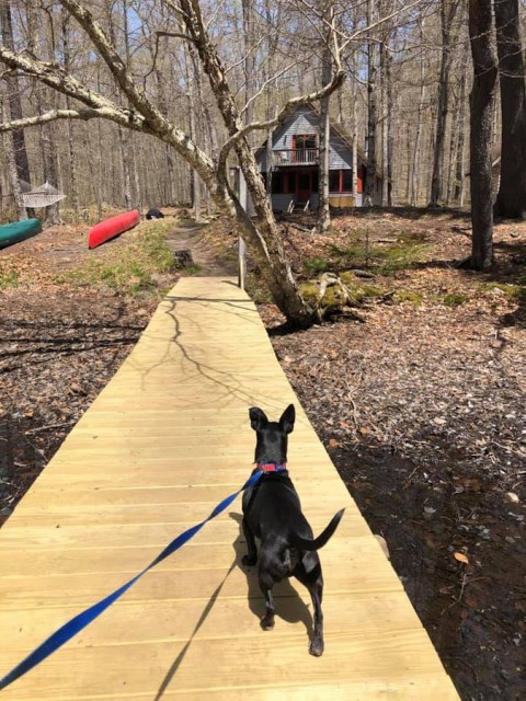 100 Steps Dock to Doorstep/Footbridge over inlet pond