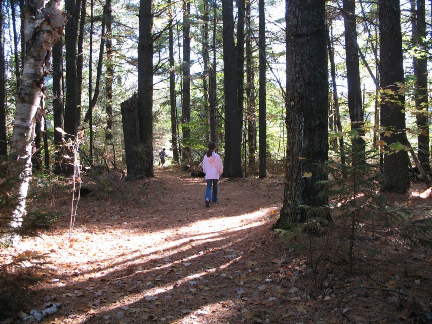 The hiking trail to the East Pond.