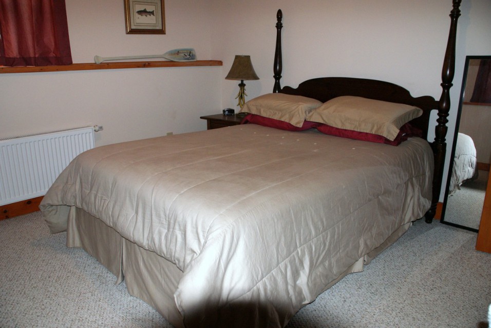 Downstairs Queen Bed