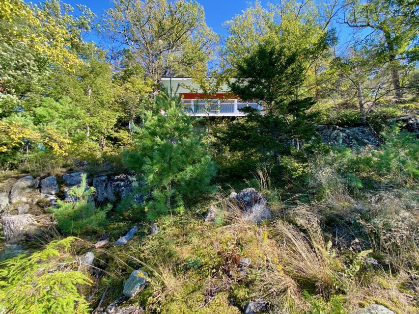 View from lake