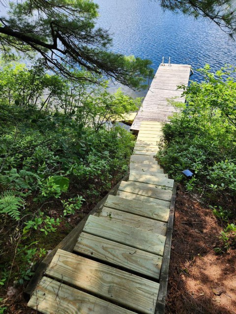 stairs down to the dock, swim ladder, doggy ramp
